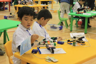 北京樂博樂博教育科技 創新引領未來教育新篇章